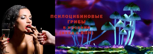 PSILOCYBIN Гусь-Хрустальный