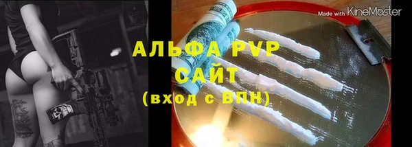 тгк Горно-Алтайск