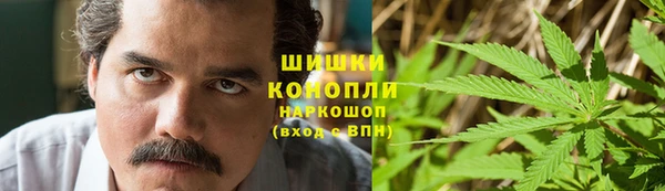 тгк Горно-Алтайск