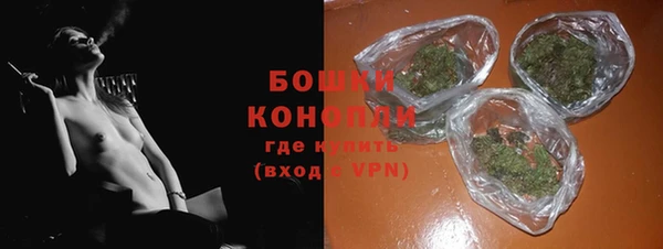 ECSTASY Дмитриев