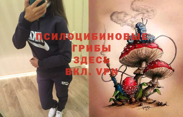 ECSTASY Дмитриев