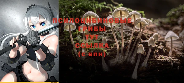 ГАЛЛЮЦИНОГЕННЫЕ ГРИБЫ Верхний Тагил