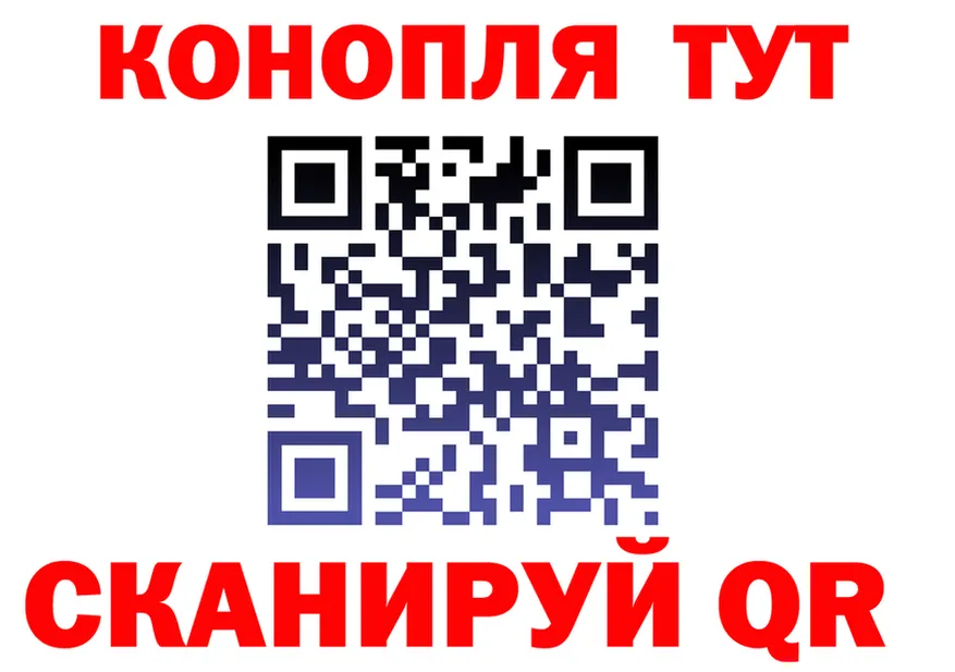 APVP СК вход shop MEGA Дмитровск