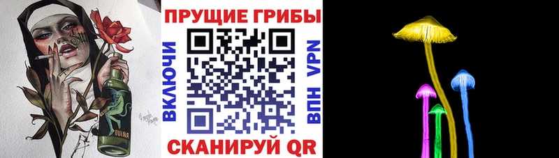 купить  сайты  Дмитровск  Псилоцибиновые грибы прущие грибы 